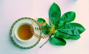 100% FEUILLES DE GRAVIOLA SOURSOP SÉCHÉES BIOLOGIQUES NATURELLES FEUILLES DE SOURSOP SÉCHÉES/FEUILLE DE GRAVIOLA FABRIQUÉES AU VIETNAM EMBALLAGE OEM - Product Image 2