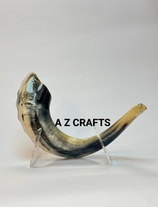 Venta al por mayor Kosher Shofar Cuerno de carnero grande Instrumento musical Pulido natural Utilizado para fines religiosos judíos - Product Image 2