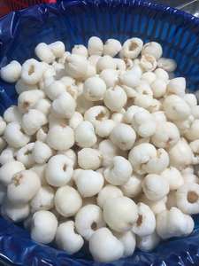 Meilleur prix pour les litchis surgelés IQF entiers ou pelés du Vietnam, emballage en vrac, qualité d'exportation - Mme Tarina - Product Image 5