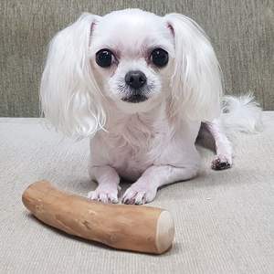 ของเล่นเคี้ยวไม้กาแฟสำหรับสุนัขของสัตว์เลี้ยงระดับพรีเมี่ยม - Product Image 5