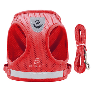 Pettorina Sportiva per Gatti e Cuccioli, Taglie Piccole e XL, in Nylon e Poliestere Riflettente con Guinzaglio, Tinta Unita o Fantasia Animale - Product Image 2