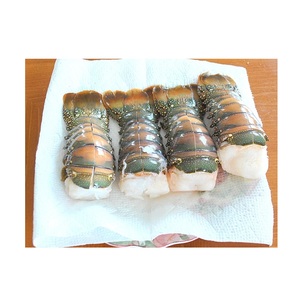 ผู้จัดจำหน่ายกุ้งมังกรแช่แข็งทั้งตัวและหางกุ้งมังกรแช่แข็งแบบขายส่ง - Product Image 4