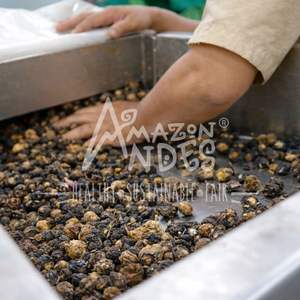 Peruano Silvestre Orgánico en Polvo - Superalimento de Alta Calidad de Grado Alimenticio para la Salud y Vitalidad |   Amazonas Andes - Product Image 4