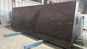 Dalle de granit Lakshmi Brown South à forte demande Design moderne Finition de surface polie pour la décoration de revêtement de sol de salon de chambre à coucher - Product Image 4