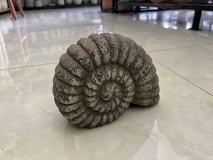 Pots de jardinière en terre cuite pour la maison pour le jardinage de fleurs - Product Image 5