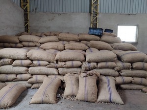 Promo High Grade Robusta Green Coffee <b>Bean</b> 100% Natural Pure Best Factory Price Buy Now! - Product Image 4