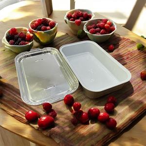 Conteneur à emporter pour barbecue de nourriture des compagnies aériennes du Vietnam Fourniture d'usine de haute qualité - Product Image 6