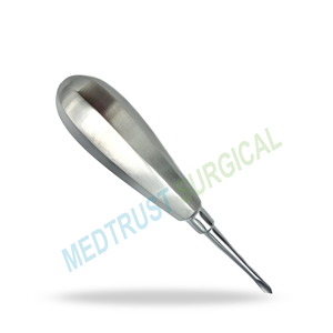 Élévateur dentaire chirurgical droit en forme de petite pelle, instrument en acier inoxydable pour l'extraction dentaire et l'élévation des racines - Product Image 3