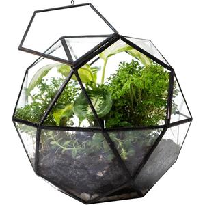 High Quality Black <b>Geometric</b> Glass <b>Terrarium</b> Planter Modern Indoor Metal Frame Home Decor Flower for Wedding Wholesale - Product Image 3