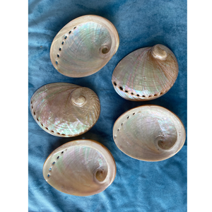 Abalone shell Paua shell seashell pink paua shells rainbow iridescent abalone <b>candle</b> making shells polished abalone shell bulk - Product Image 1