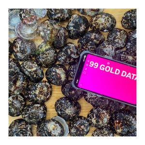 Conchas de Lapa naturales a la venta, perfectas para manualidades, decoración del hogar y joyería, disponibles a granel - Product Image 5