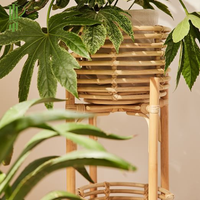Support de plante en rotin fait à la main, pot de plante d'intérieur plaqué pour salon, patio, bureau, vente en gros au Vietnam pour les fêtes