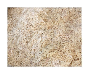 สาหร่าย Eucheuma cottonii จากเวียดนามสีทอง cottonii แห้งจากตลาดส่งออกจาก99 GD - Product Image 2