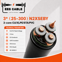 Câble d'alimentation blindé N2XSEBY 3 conducteurs CU XLPE PVC STA 3x25-300mm² avec conducteur en cuivre pour installation souterraine