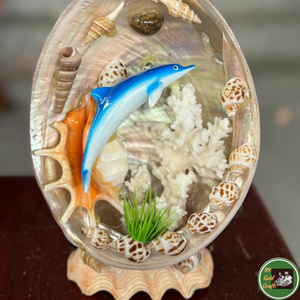 Vietnam Origin Decoration Seashell Made From Natural Sea Shell For Home <b>Ornament</b> And Gift Decoration - Product Image 2