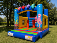 Aire de jeux gonflable professionnelle 3x3x3h m – Château gonflable en PVC – Utilisation professionnelle en extérieur/intérieur – Conforme aux normes européennes