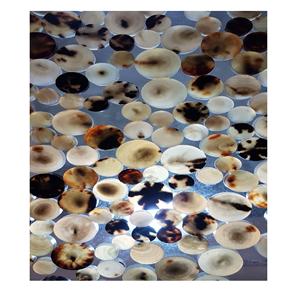 Boutons ronds en corne de buffle brute, faits à la main, écologiques, pour manteaux - Product Image 4