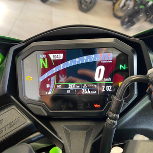 Kawasaki Ninja ZX-4RR 250cc Moteur à essence 4 temps - Product Image 2