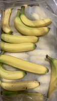 Verse Cavendish Bananen (GMO & Biologisch) Groothandelslevering voor Export en Detailhandel Premium Zoete Bananen van Uitstekende Kwaliteit