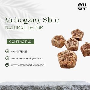 Tranche de bois d'acajou de qualité supérieure populaire pour la décoration de mariage, d'Halloween, de la maison et du bureau, arrangements de fleurs séchées - Écologique - Product Image 2