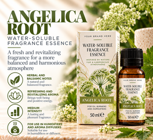 Essenza Idrosolubile di Radice di Angelica OEM 50ml |   Fragranza Balsamica alle Erbe per Umidificatore |   Marchio Privato Spagna - Product Image 2