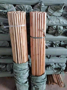 Gran cantidad de madera en rollo de Vietnam para producción agrícola y muebles - Product Image 2