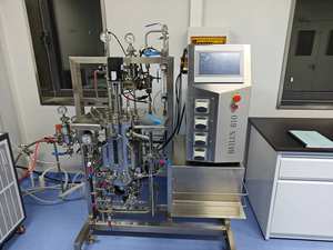 เครื่องปฏิกรณ์เคมีสำหรับหมักอาหารวัคซีน30L-300L เครื่องปฏิกรณ์ชีวภาพเครื่องปฏิกรณ์ BLBIO-SJA - Product Image 2