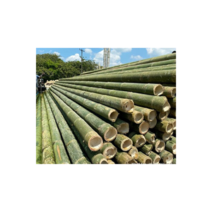 Poteaux de bambou écologiques vietnamiens-Matériaux de construction Poteau de bambou droit solide et naturel de haute qualité - Product Image 1