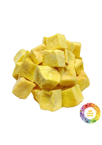 Wholesale Freeze <b>Dried</b> <b>Mango</b> Slices Premium Quality Vietnam Fruit Supplier - Product Image 2