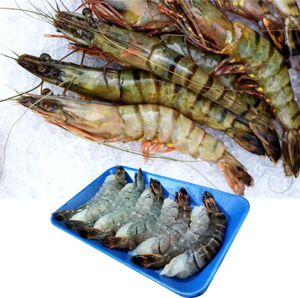 Black Tiger Shrimps Custom Packing Best Quality Size 8/12 to 71/90 per Kg at a Wholesale Price and Custom Logo