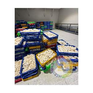 YUCA CONGELADA AL DETALLE O A GRANEL PRECIO MÁS BARATO DE VIETNAM PARA MERCADOS DE EXPORTACIÓN EN TODO EL MUNDO - Product Image 3