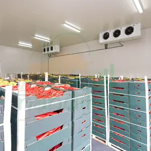 Cold Room Refrigeration Cold storage container For Poultry Seafood Meat High-performance industrial equipment