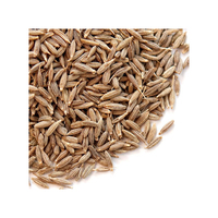 Offre Spéciale : Cumin Séché AD de Qualité Supérieure à Bas Prix – Fournisseur et Fabricant Grossiste d'Épices et Herbes Simples – Exportation Brésil