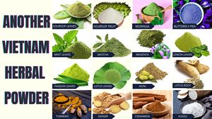 Dried Soursop Leaves Fermented Broken Black <b>Tea</b> <b>Brew</b> Hot Water Organic Health Non-Sugar 50gr Box Packaging EXPAD <b>CO</b> <b>Tea</b> Bags - Product Image 2