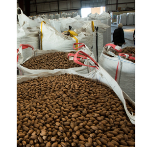 Semi Soft 100% Nueces naturales tostadas saladas de primera calidad con cáscara Nueces de pacana crudas - Product Image 5