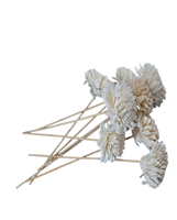 Diffuseur de fleurs en bois Sola Parfum avec bâton de rotin Diffuseur de roseaux Sola Flower avec bâton de rotin