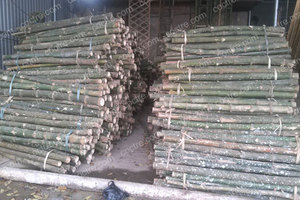 Venta al por mayor de postes de bambú ecológicos para uso en interiores y exteriores a precios asequibles - Product Image 4