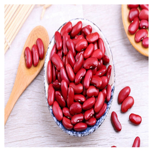 Premium Red Kidney <b>Beans</b> Bulk Supply High Quality Export Grade - Product Image 4