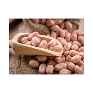 Nuevo cultivo con certificado Halal, cacahuetes blanqueados, cacahuetes pelados - Product Image 1