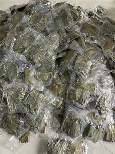 Feuilles de corossol séchées en vrac, provenance d'usine au Vietnam, Annona Muricata, feuilles brutes - Product Image 5