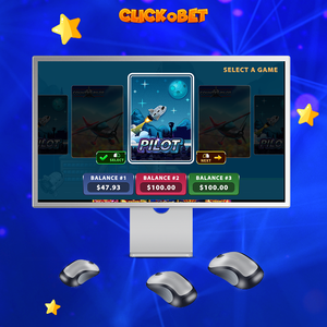 Plataforma de entretenimiento para salas de juegos. Desarrollo de Software Personalizado de Alta Rentabilidad: Crash, Plinko, Instant - Product Image 6