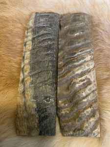 Cuchillo de hueso de búfalo natural hecho a mano, mango de camello, técnica pintada, teñido, estilo Animal estabilizado, cuchillo náutico, recuerdo - Product Image 4