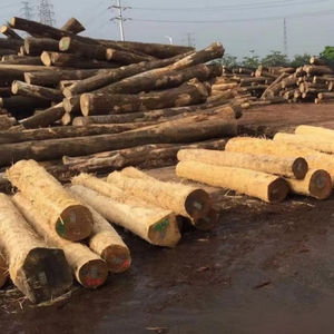 Vente en gros de bois de frêne blanc allemand provenant d'exportateurs européens expérimentés avec plus de 17 ans d'expérience dans l'exportation de bois dur - Product Image 3