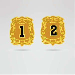 Ceinture de championnat de lutte personnalisée, design Aigle Doré, avec logo métallique et image personnalisée, ceinture de titre - Product Image 2
