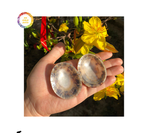 Venta al por mayor de joyería de concha de Lapa decorativa ecológica hecha a mano artesanías naturales de Vietnam para fiestas - Product Image 2