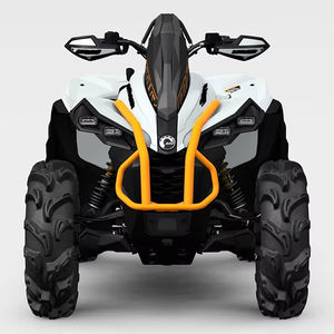 Renegades X MR 650: Motos Nuevas Disponibles en Stock - Product Image 1