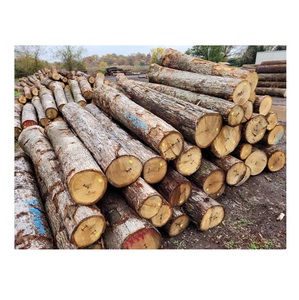 Fresh Cut Oak <b>Logs</b> White Oak and Red Oak Round Timber <b>Logs</b> for Lumber and Flooring Production - Product Image 6