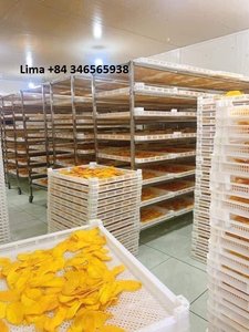 Tranches de mangue séchées moelleuses, procédé AD, 15-20% d'humidité, collation de fruits sucrés, saveur originale, 8-10 cm, emballage en vrac, Vietnam/ Mme Mirabel - Product Image 3