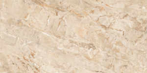 Les carreaux de décoration extérieure au design moderne les plus populaires en céramique de porcelaine fabriquée en Inde pour les garages à prix réduits! - Product Image 4