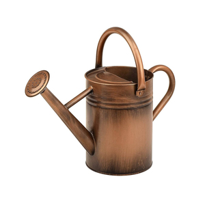 Venta al por mayor tendencia diseño nuevo personalizado maceta vintage país granja metal regaderas con spray largo para la venta - Product Image 2